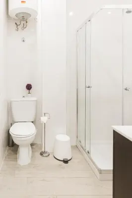 a white bathroom with a toilet and a shower at APOSENTUS - Your Home in Martires da Liberdade in Porto