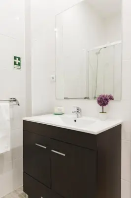 a bathroom with a sink and a mirror at APOSENTUS - Your Home in Martires da Liberdade in Porto