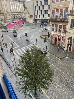 a city street with a tree and cars on a street at Sao Bento Studio in Porto
