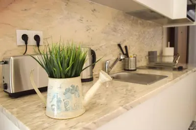 a kitchen counter with a vase with grass in it at Aurora Garden in Porto