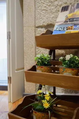 a group of potted plants sitting on a shelf at Aurora Sky in Porto
