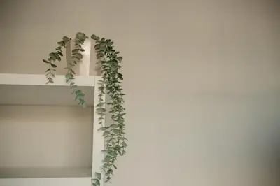 a cross with a green ivy on a wall at H.ö.H in Porto