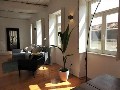 a living room with a couch and a potted plant at Oporto Delight 3 Luxury Apartment in Historic Center Max 4p in Porto