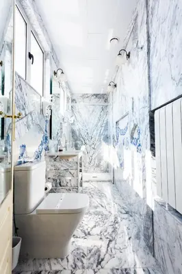 a bathroom with blue and white marble walls and a toilet at Castelo Santa Catarina in Porto