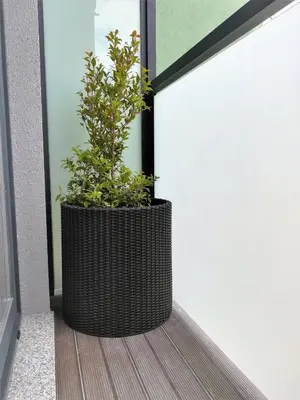 a black wicker planter with a plant in it at APOSENTUS - Your Home at Pinheiro's Studio in Porto