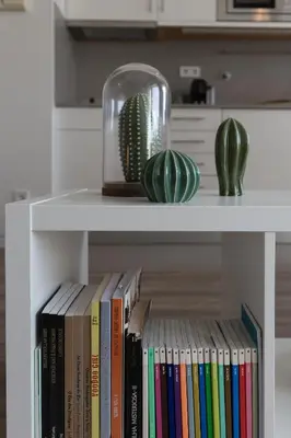 a white shelf with books and a cactus on it at Aposentus - Arrábida Studio in Vila Nova de Gaia