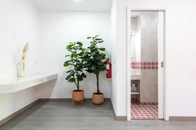 a hallway with two potted plants in a room at LovelyStay - Boavista Cozy Apartment in Porto