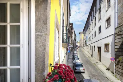 a view of a street with flowers in a window at Historical Center - Taipas Apartments in Porto