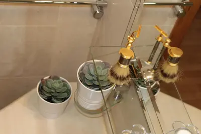 three brushes and potted plants on a glass shelf at Galizia Flat in Porto