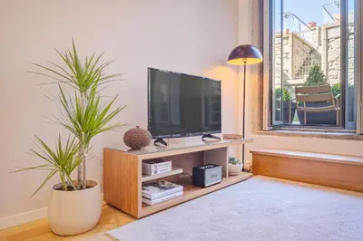a living room with a television and two potted plants at UMA Santa Catarina - Pool & Fitness, Adults Only in Porto