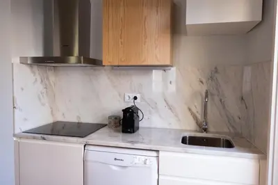 a kitchen with a sink and a counter top at Alda's Vintage Apartments with Free Parking in Porto