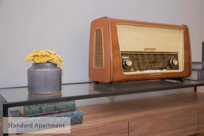 an old radio and a vase of flowers on a shelf at Alegria Residence in Porto
