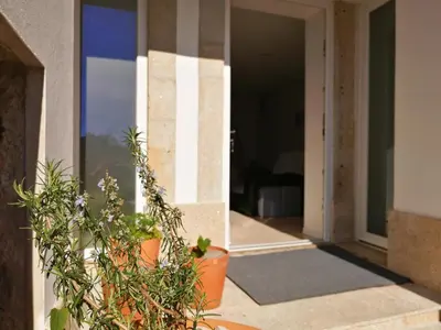 an open door of a house with a potted plant at Casa Ventuzelo in Porto