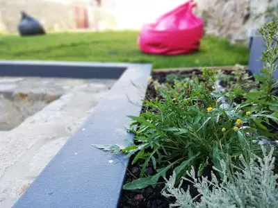a garden with a blue bench and a plant at PORTO CONCEPT HOME - Paranhos in Porto