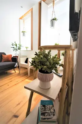 a living room with a potted plant on a table at Downtown Porto Relaxed Apartment with Private Yard in Porto