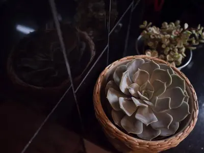 a potted plant in a basket on a table at SP199 Flat by in Porto