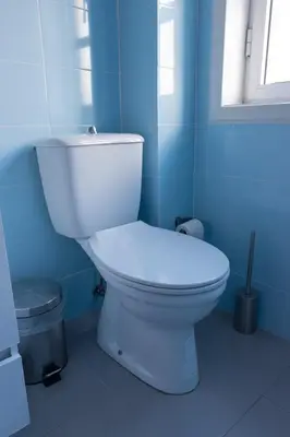 a bathroom with a white toilet in a blue room at North Star Flats @ Dom Luís I Bridge in Vila Nova de Gaia