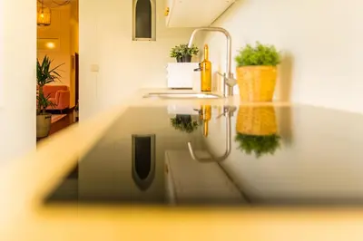 a kitchen counter with a sink with plants on it at DA'HOME - Cedofeita Art Studio in Porto