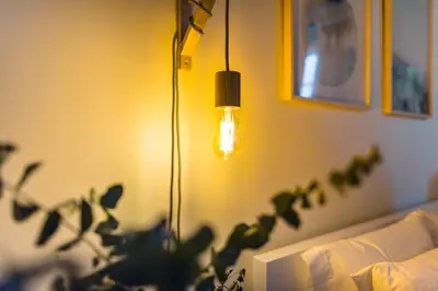a lamp in a living room with a plant at DA'HOME - Cedofeita Art Studio in Porto