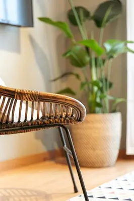 a rattan chair sitting next to a potted plant at DA'HOME - Marquês Lovely 2BD Apartment in Porto