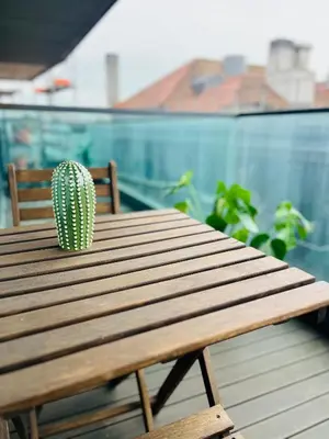 a cactus sitting on top of a wooden table at PATEO LUSO - Cozy Apartment City Center in Porto