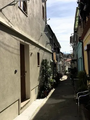an alley with buildings and potted plants on the side at Casa do Bairro 2 in Porto