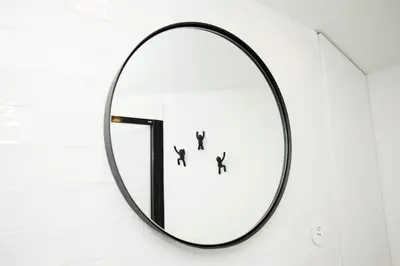 a mirror hanging on a wall with three birds on it at GET a Cactus and Books studio in Porto