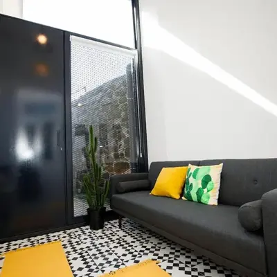 GET a Cactus and Books studio