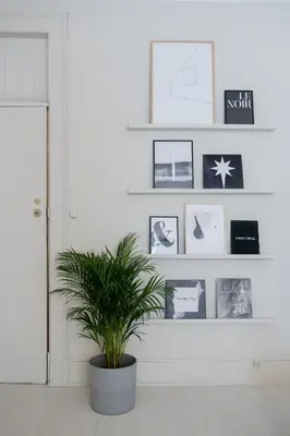 a potted plant in a room with pictures on the wall at Baixa24 •P1L• Amplo estúdio na baixa com varanda in Porto