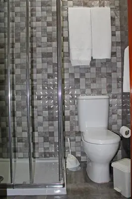 a bathroom with a toilet and a shower with towels at D. Duarte I in Porto
