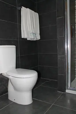 a bathroom with a toilet and a shower and towels at D. Duarte I in Porto