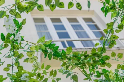 a window in front of a building with green leaves at GuestReady - Costa Cabral Guesthouse in Porto