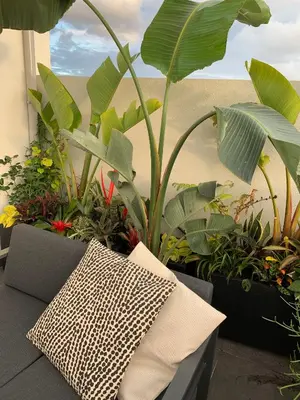 a pillow sitting on a couch next to plants at Oak Valley Flats Porto Santa Catarina in Porto