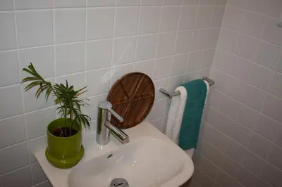 a bathroom with a sink with a potted plant on it at Casa Barão Forrester in Porto
