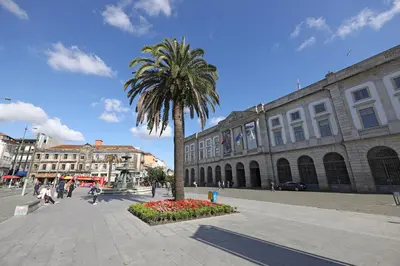 a palm tree in a plaza in front of a building at FLH Porto Spacious Flat in Porto