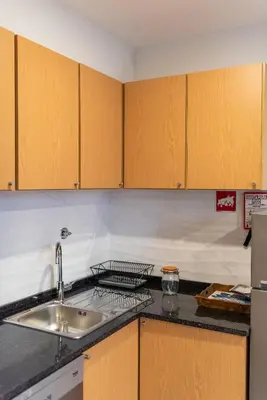 a kitchen with wooden cabinets and a sink at ZD Moreira Flats A By PortoProperties4You in Porto