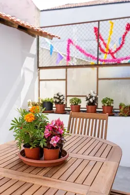 a wooden table with potted plants on top of it at ZD Moreira Flats C By PortoProperties4You in Porto