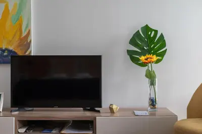 a tv on a table with a flower in a vase at Sunflower Luxury Loft w AC Downtown and Metro in Porto