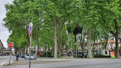 a street with trees on the side of a road at Marques Garden with PARKING in Porto