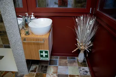 a bathroom with a sink and a counter with a plant at Oporto Ana's Studio in Porto