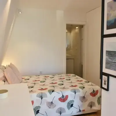 Sunny Penthouse whith balcony 9min walk main station