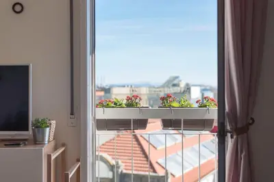 a balcony with two plants on a window sill at All in flat by, city center, skyline in Porto