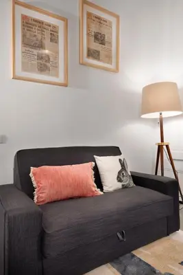 a black couch with a cat laying on a pillow at Porto National Theatre Trendy Houses in Porto