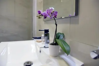 a purple flower in a white vase on a bathroom sink at Hotel Visconde in Porto