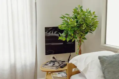 a bedroom with a tv and a table with a plant at A Portuense in Porto