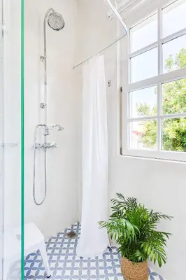 a bathroom with a shower with a plant at Jardins da Muralha Apartments by DA'HOME in Porto