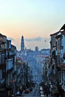a view of a city street with cars and buildings at Moreira 284 in Porto