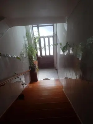 an empty hallway with a door and potted plants at Truz truz2 in Porto