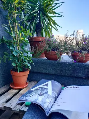an open book sitting on a table with potted plants at Porto Santa Catarina - Apartment with Terrace in Porto