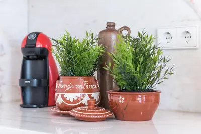 two potted plants on a counter next to a coffee maker at GuestReady - Coral Apartment in Porto